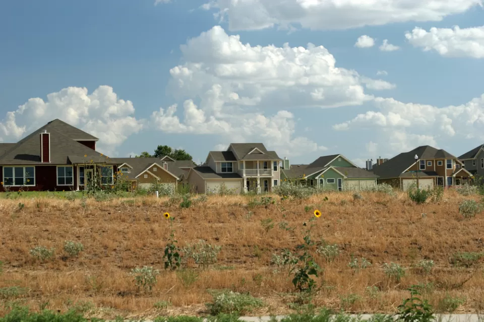 Texas Suburb